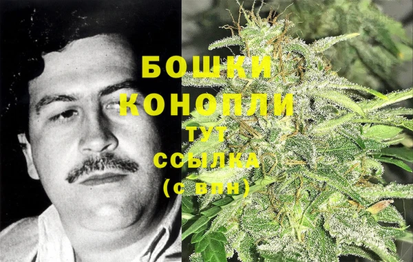 гидра Алзамай
