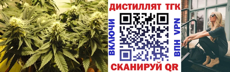 ТГК гашишное масло  kraken ТОР  Шацк 