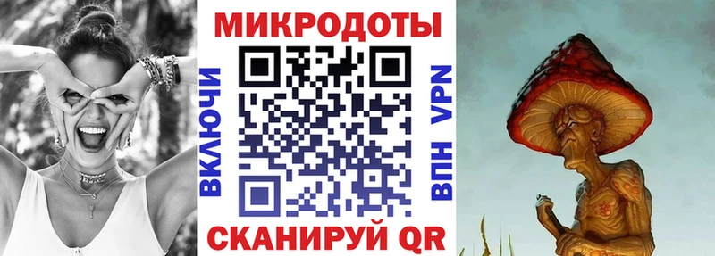 Галлюциногенные грибы MAGIC MUSHROOMS  это как зайти  Шацк  где продают  