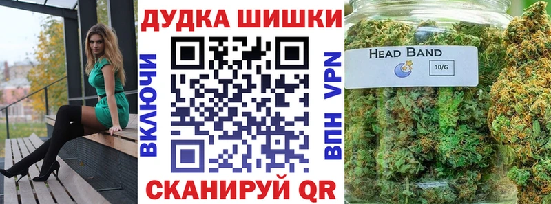 Бошки Шишки планчик  Шацк 